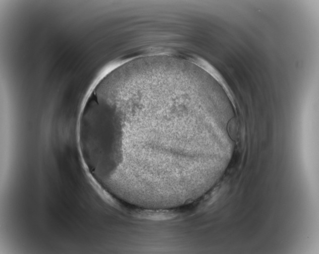 X0000086760811200704271729