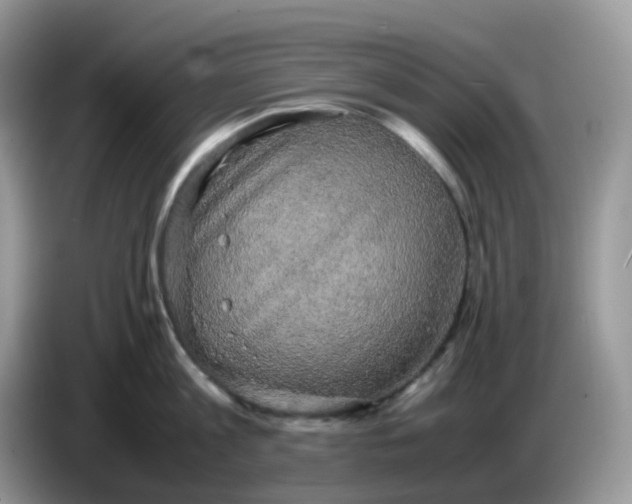 X0000086760813200704271729