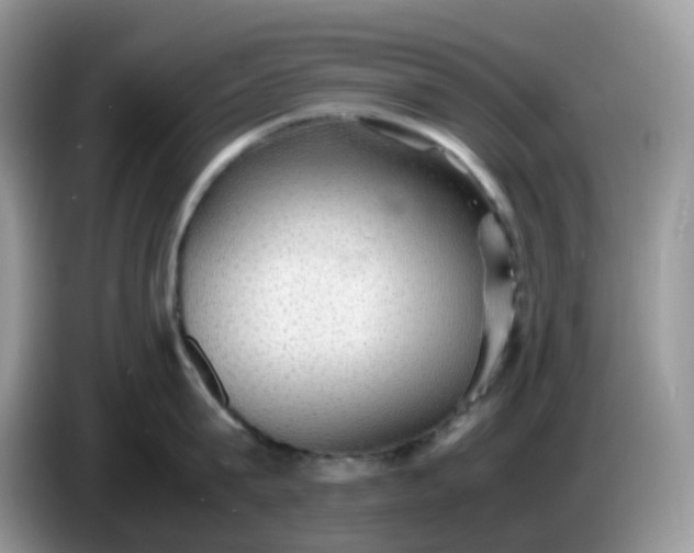 X0000086760815200704271729