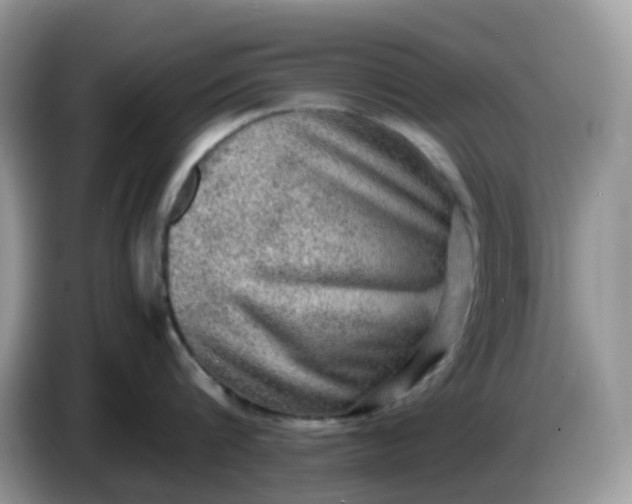 X0000086760816200704271729