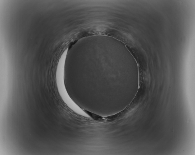 X0000086760818200704271728