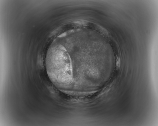 X0000086760819200704271728