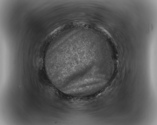 X0000086760821200704271728