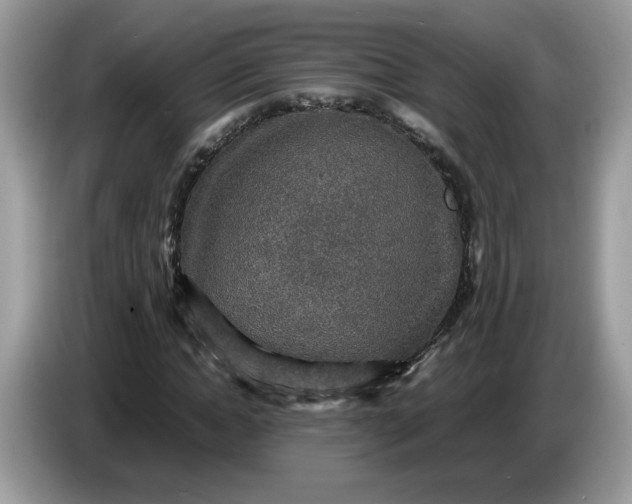 X0000086760822200704271728