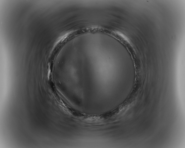 X0000086760823200704271728