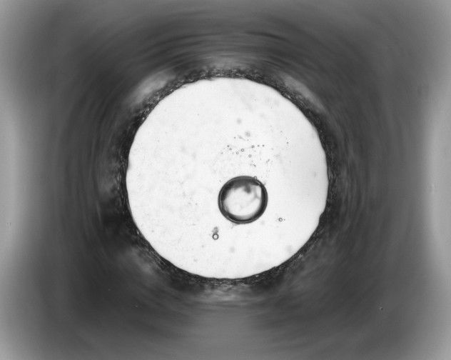 X0000086760824200704271728