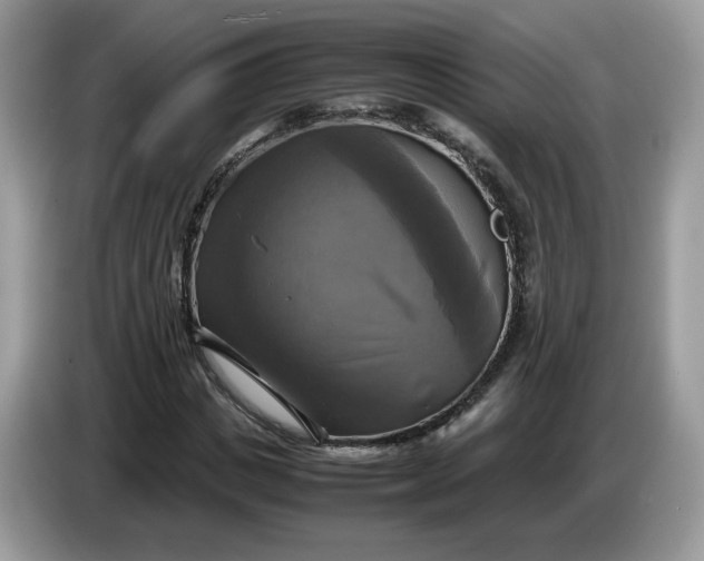 X0000086760825200704271728