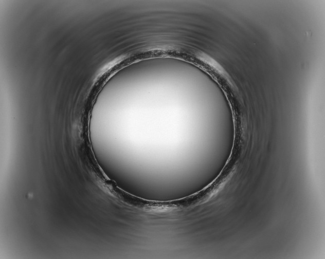 X0000086760826200704271728