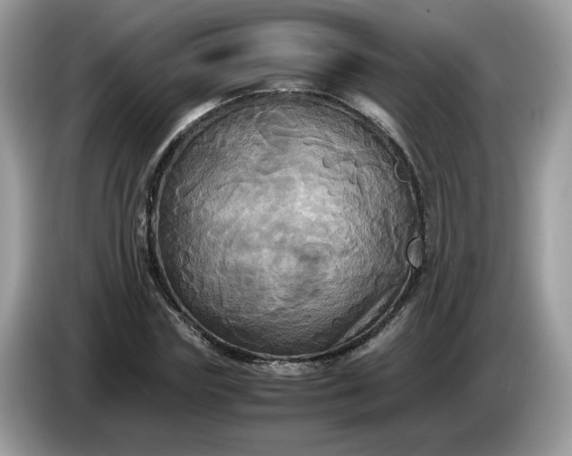 X0000086760827200704271728