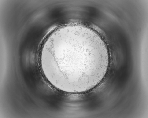 X0000086760828200704271728