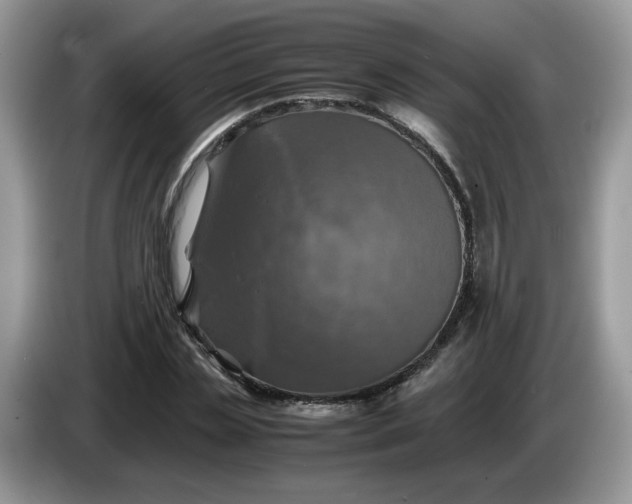 X0000086760829200704271728