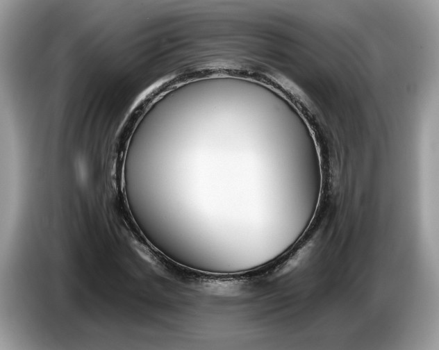 X0000086760830200704271728