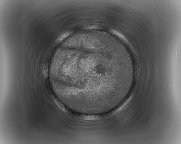 X0000086760833200704271728