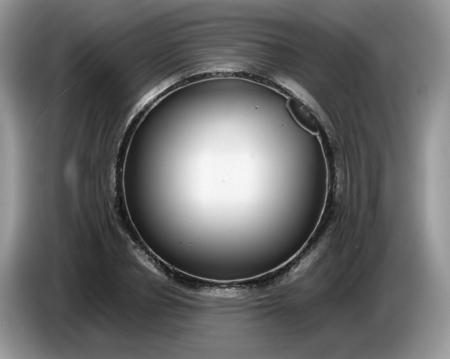 X0000086760834200704271728