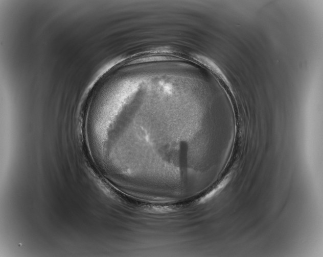 X0000086760835200704271728