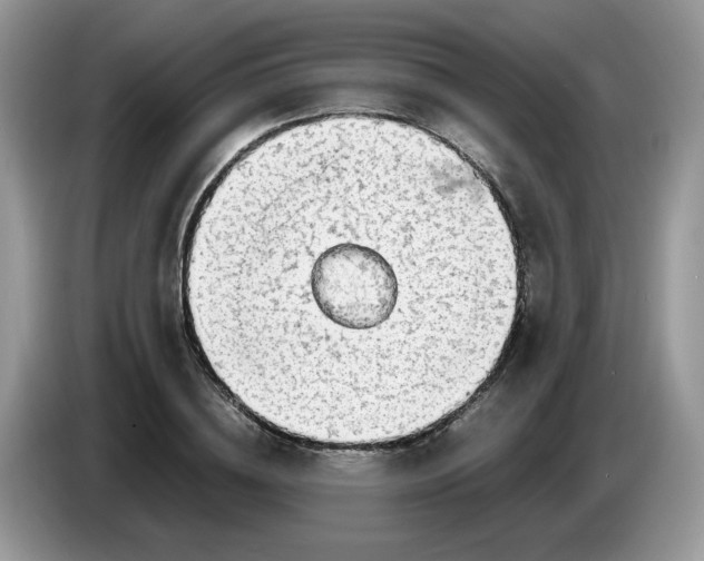 X0000086760836200704271728