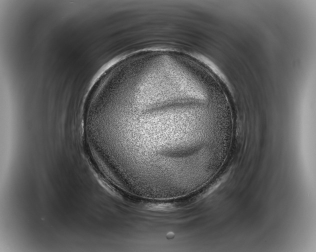 X0000086760837200704271728