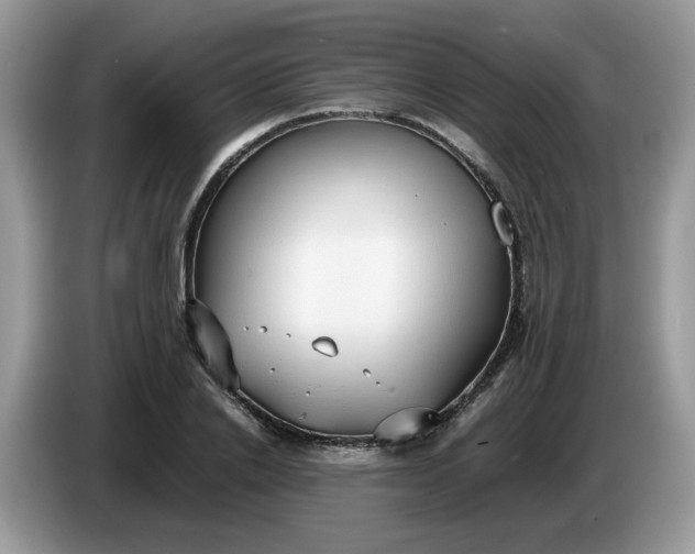 X0000086760838200704271728