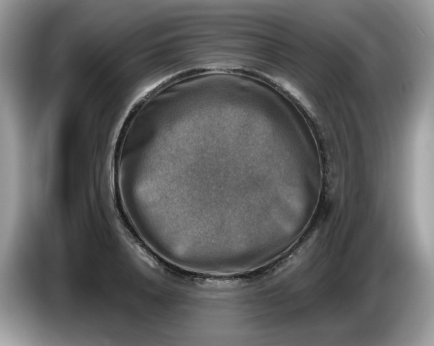 X0000086760840200704271728