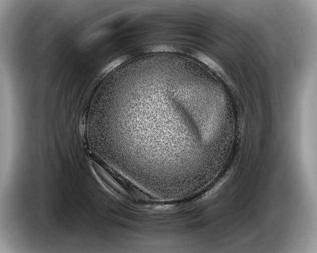 X0000086760841200704271728