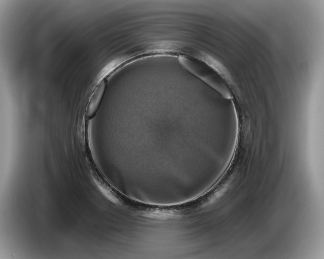 X0000086760842200704271728