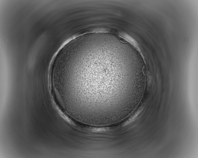 X0000086760843200704271728