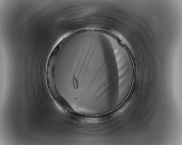 X0000086760845200704271729