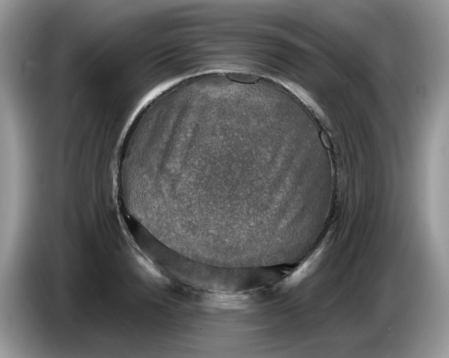 X0000086760846200704271729