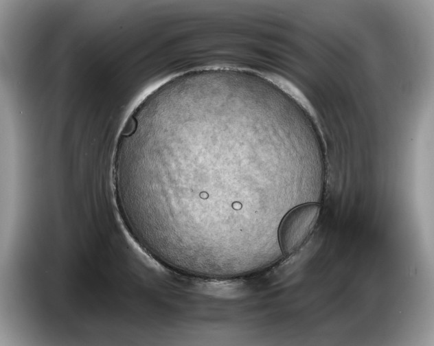 X0000086760847200704271729