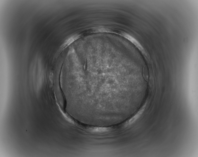 X0000086760849200704271729