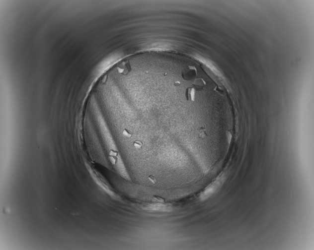 X0000086760850200704271729