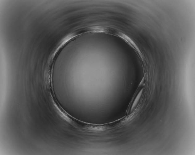 X0000086760851200704271729