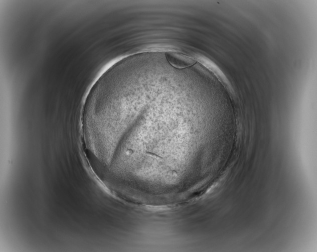 X0000086760852200704271729