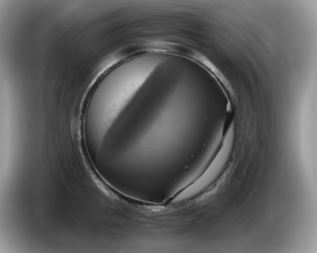 X0000086760853200704271729