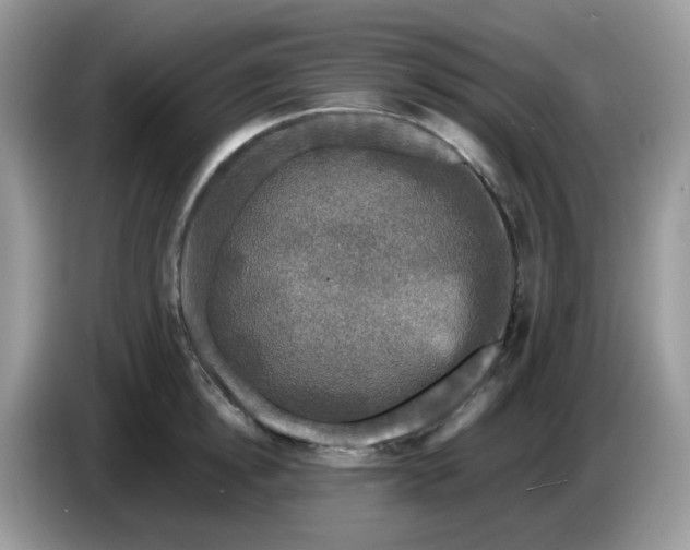 X0000086760854200704271729