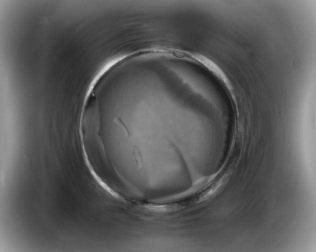 X0000086760855200704271729