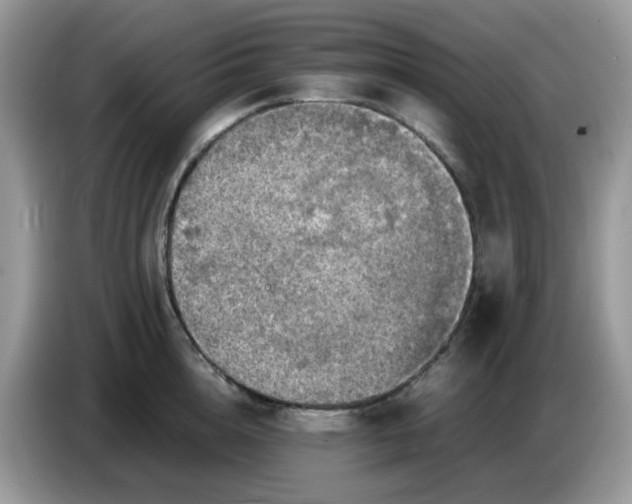 X0000086760856200704271729