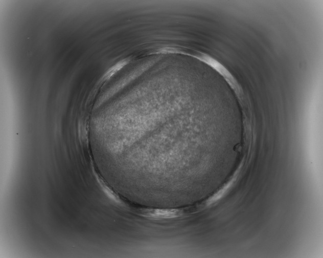 X0000086760857200704271729