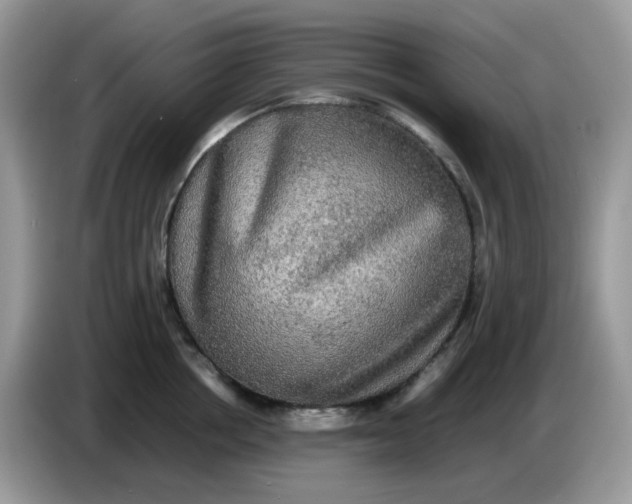 X0000086760858200704271729