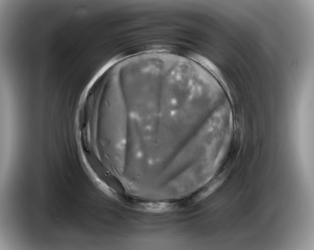 X0000086760859200704271729