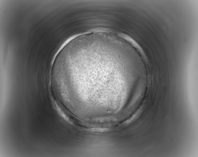 X0000086760860200704271729