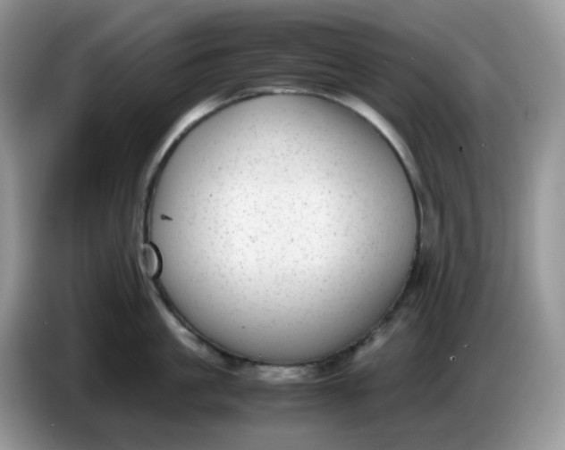 X0000086760861200704271729