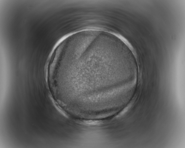 X0000086760862200704271729