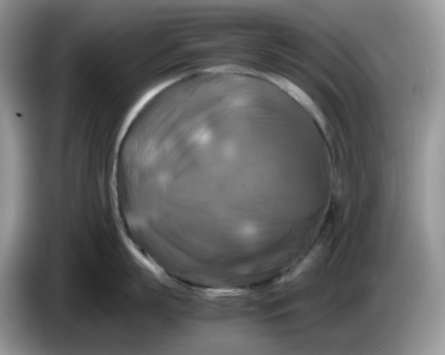 X0000086760863200704271729