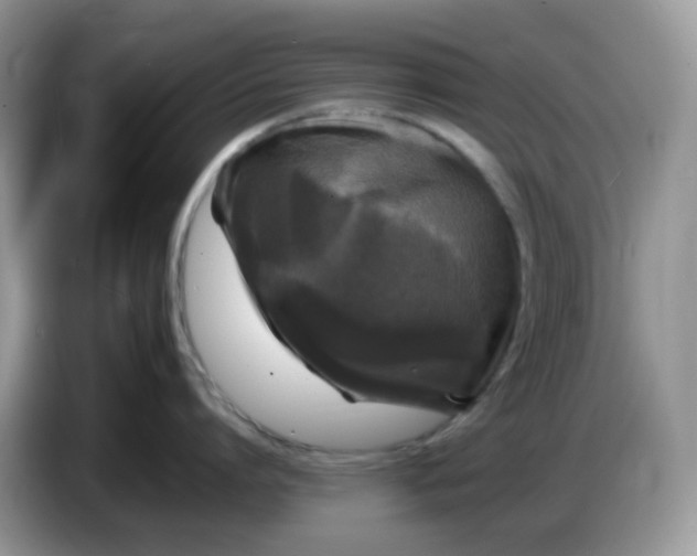 X0000086760864200704271729