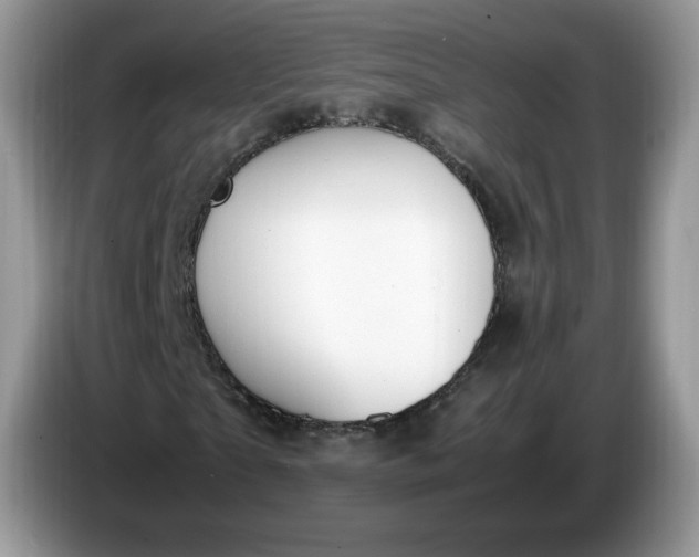 X0000086760865200704271728