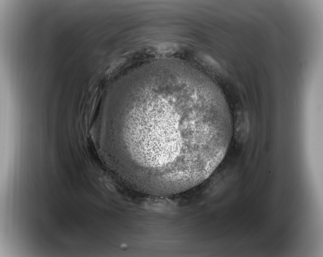 X0000086760866200704271728