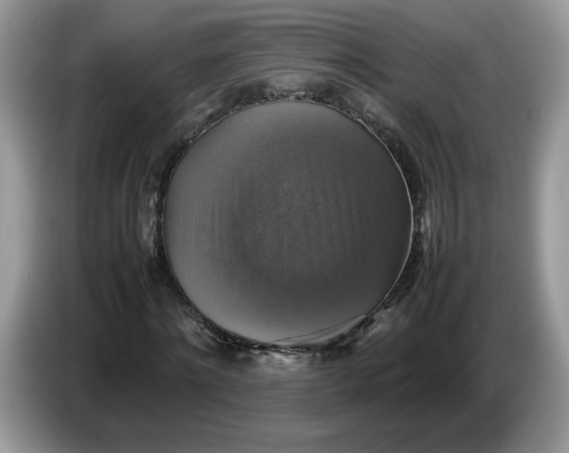 X0000086760868200704271728