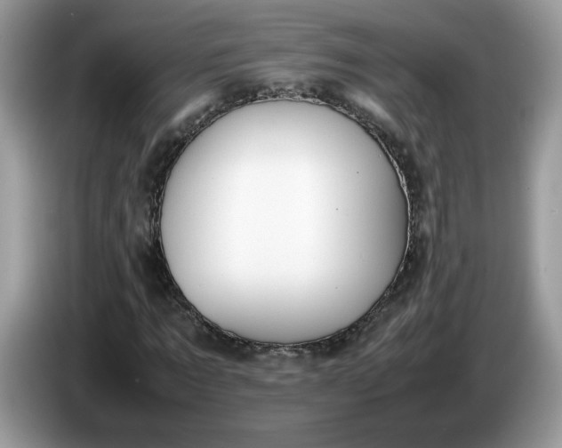 X0000086760869200704271728