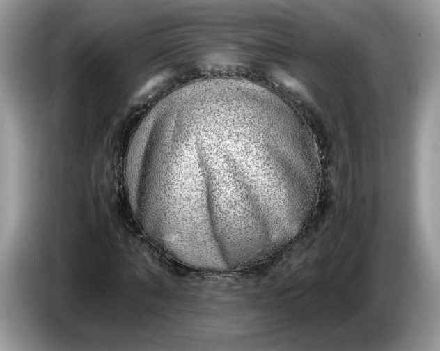 X0000086760870200704271728